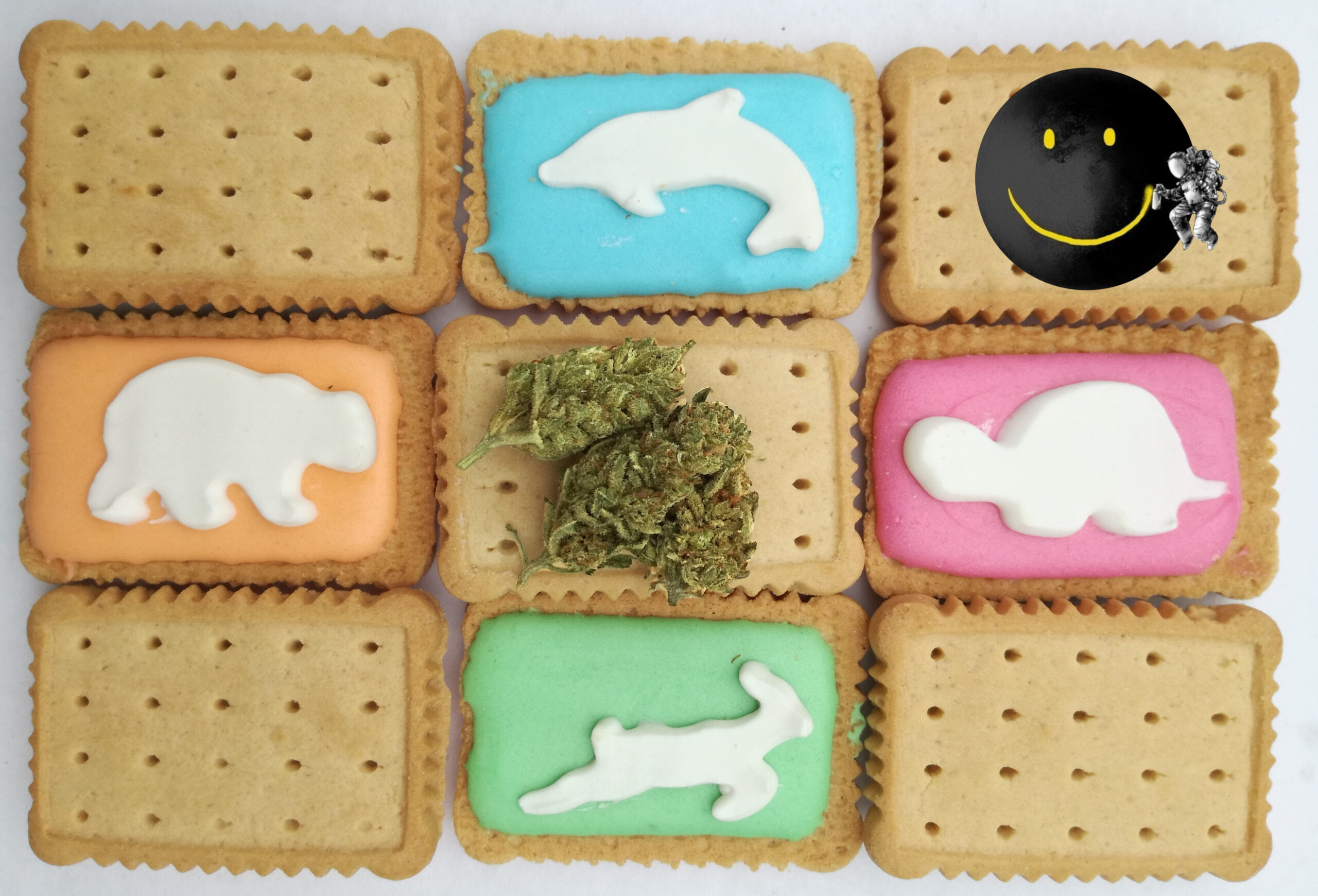 Zoo biscuit deals